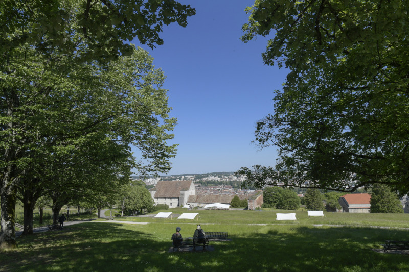 Citadelle parc Saint-Etienne